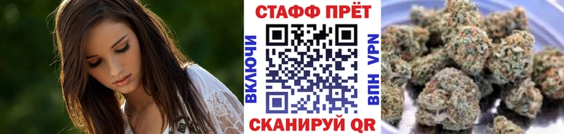 Наркотические вещества Старица Псилоцибиновые грибы Бошки Шишки APVP ГАШ Меф мяу мяу Cocaine