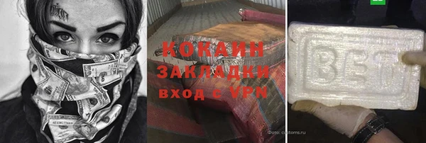 гидра Богородицк