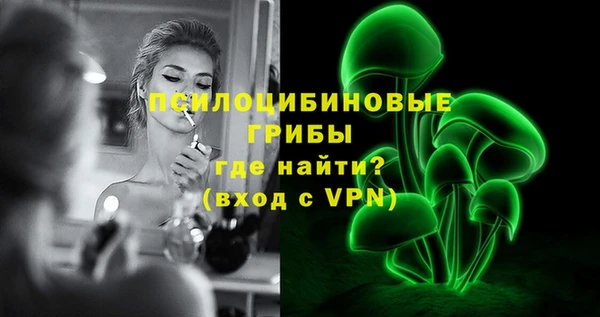 гидра Богородицк