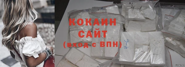 твердый Богородск