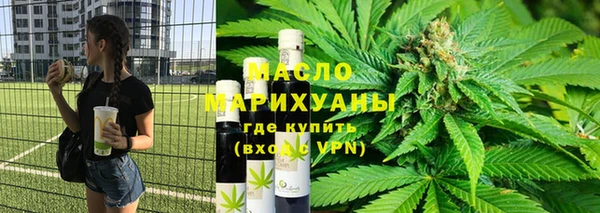 гидра Богородицк