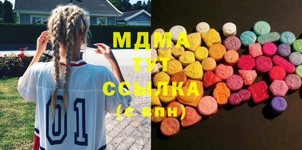 гидра Богородицк