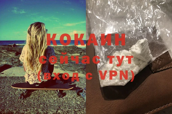 гидра Богородицк