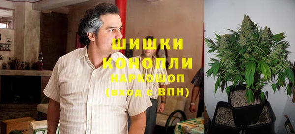 гидра Богородицк