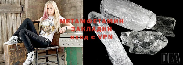 гидра Богородицк